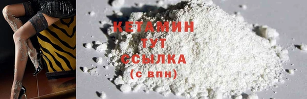 PSILOCYBIN Белокуриха