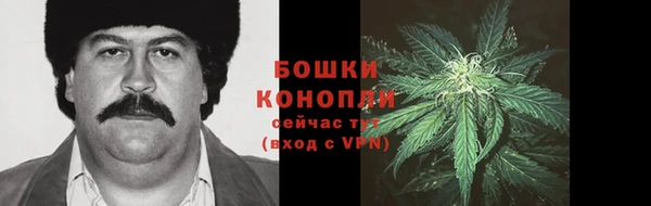 PSILOCYBIN Белокуриха