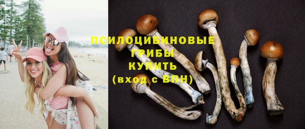 PSILOCYBIN Белокуриха