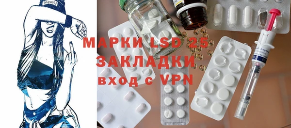 PSILOCYBIN Белокуриха